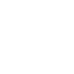 Sense Icon