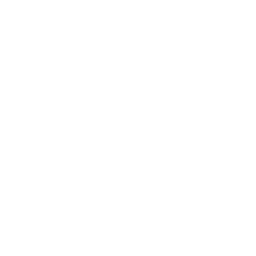 Act Icon